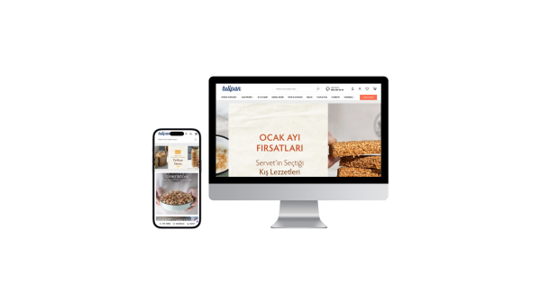 E- Ticaret demo21